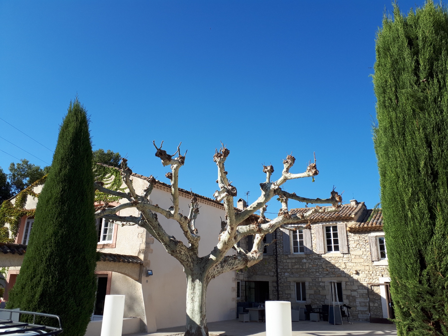 Élagage de platane devant un mas provençal avec cyprès à Montpellier
